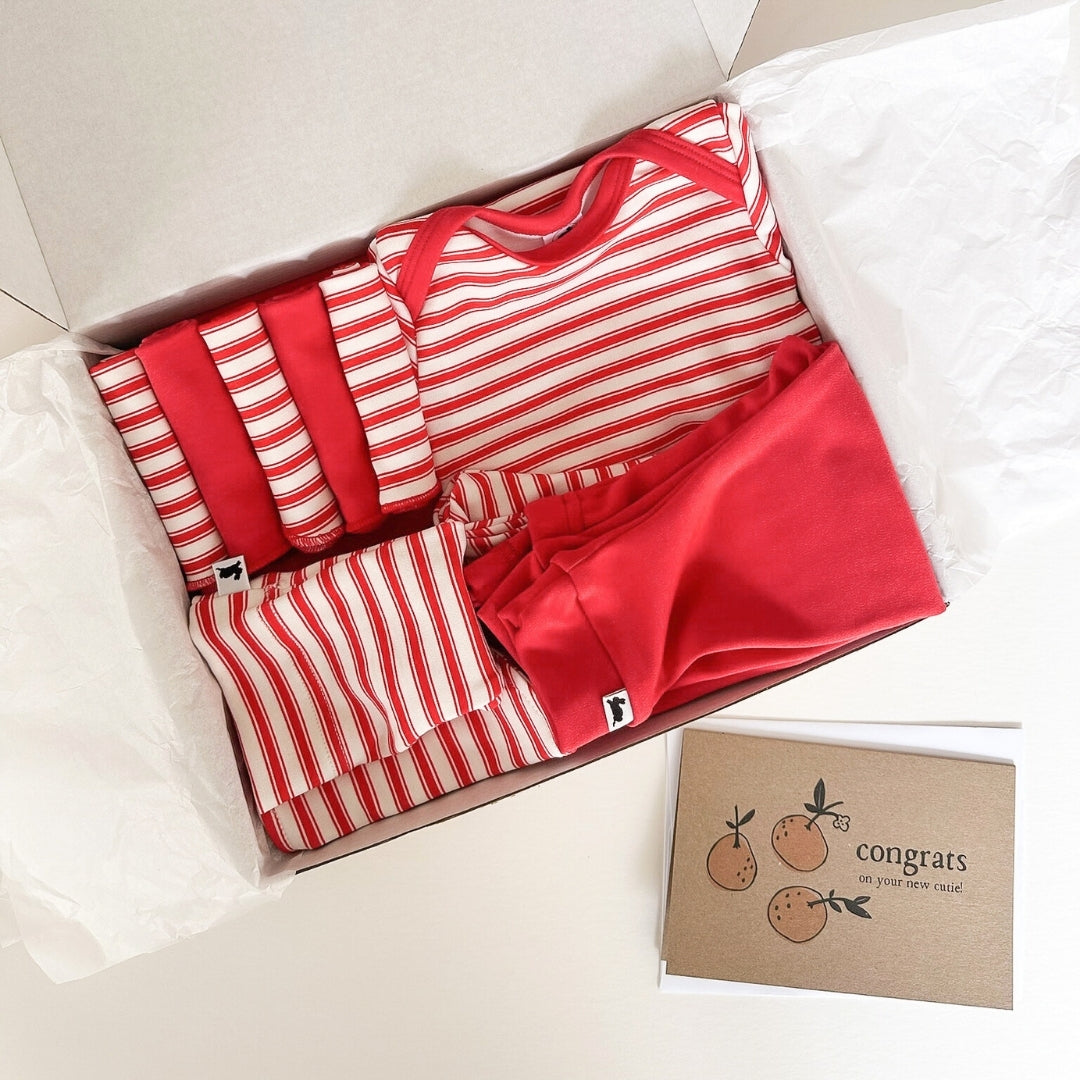Bamboo Baby Capsule Gift Box - Berry Stripe & Berry-5