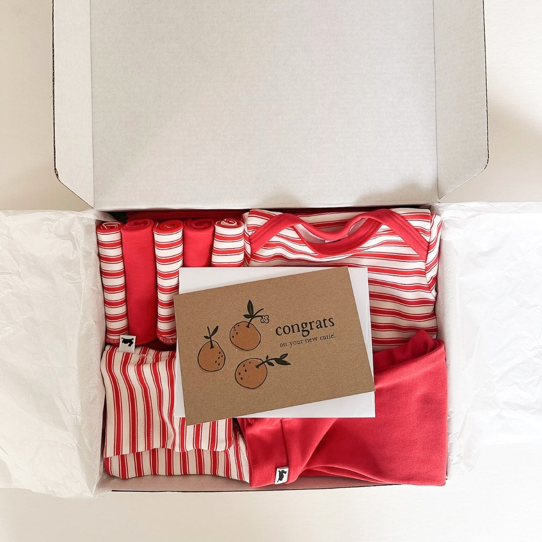 Bamboo Baby Capsule Gift Box - Berry Stripe & Berry-6