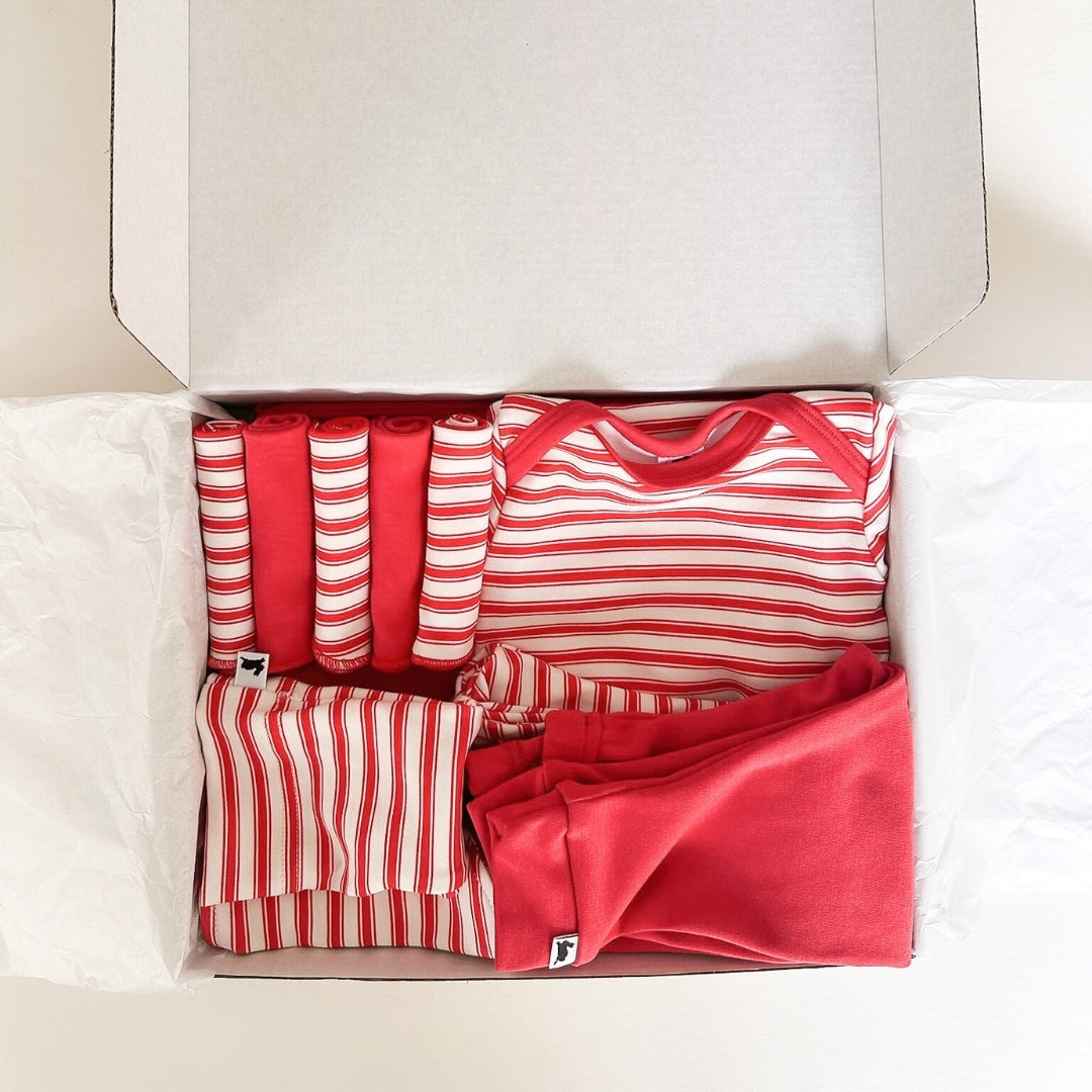 Bamboo Baby Capsule Gift Box - Berry Stripe & Berry-2